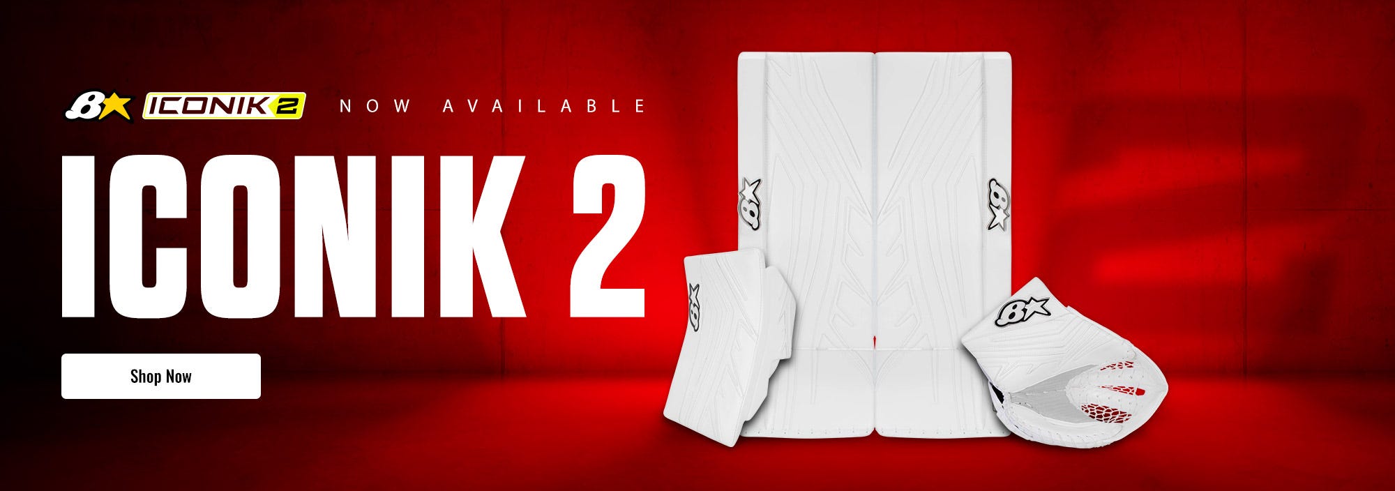 Brian's Iconik 2 Goalie Equipment