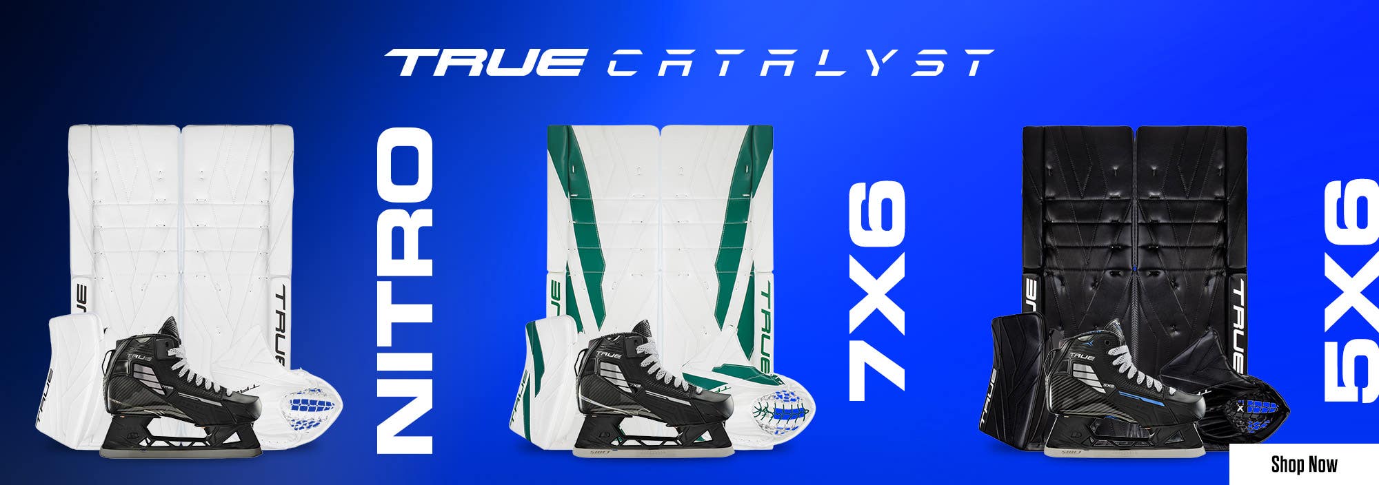 True Catalyst goalie equipment. Nitro, 7X6 & 5X6.