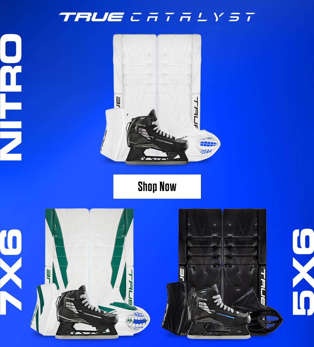 True Catalyst goalie equipment. Nitro, 7X6 & 5X6.