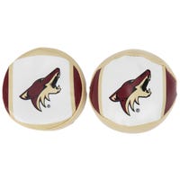 Franklin Coyotes NHL Soft Sport Ball & Puck Set in Arizona