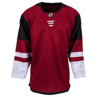 Monkeysports Arizona Coyotes Uncrested Junior Hockey Jersey in Burgundy Size Large/X-Large