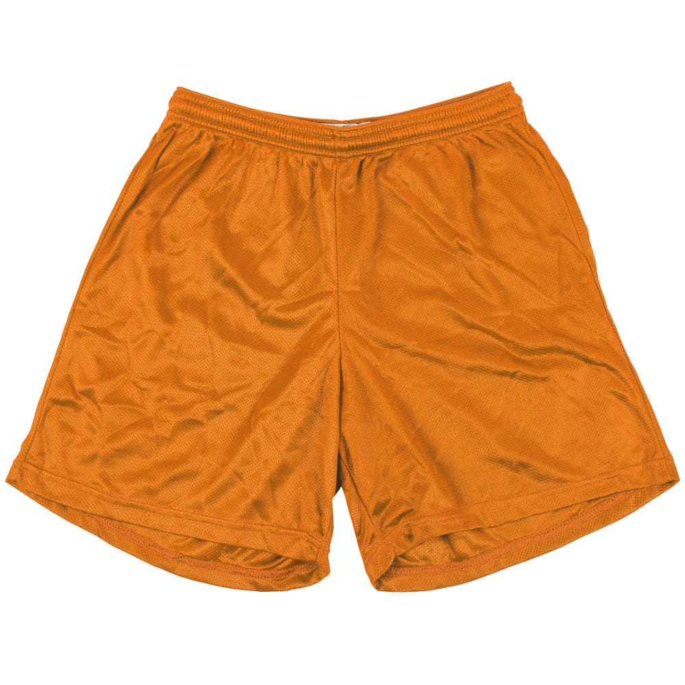 "Alleson 580P Adult Nylon Mesh Shorts | 100% nylon in Orange Size X-Large"
