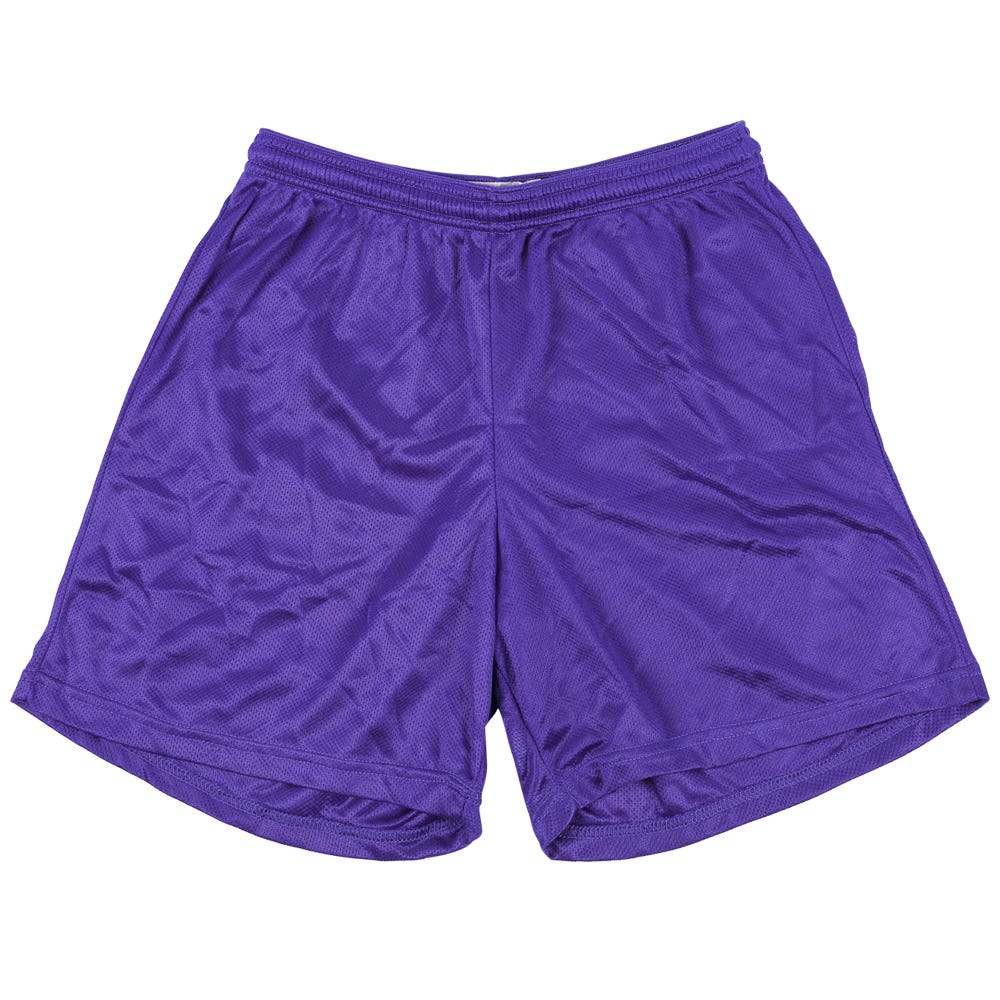 "Alleson 580PY Youth Nylon Mesh Shorts | 100% nylon in Purple Size Small"