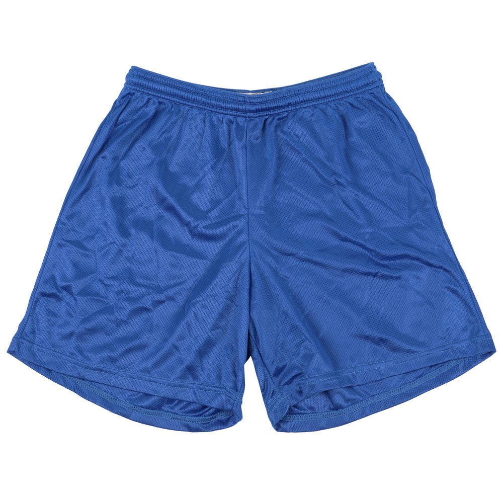 "Alleson 580P Adult Nylon Mesh Shorts | 100% nylon in Royal Size 3X-Large"