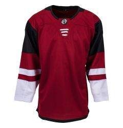 Arizona Coyotes MonkeySports Uncrested Junior Hockey Jersey