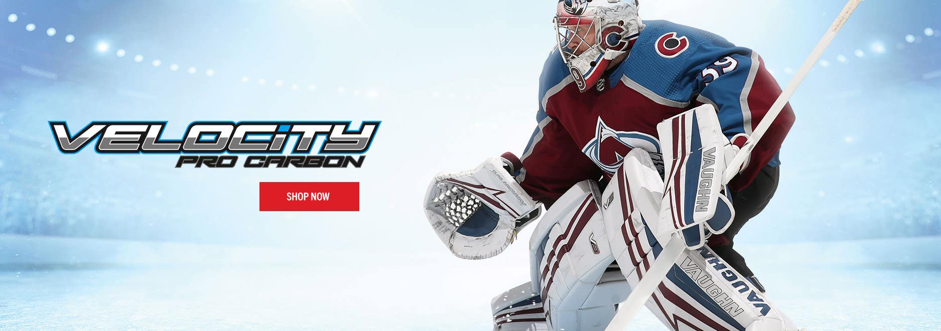 Goalie Equipment Ice Hockey Goalie Gear GoalieMonkey