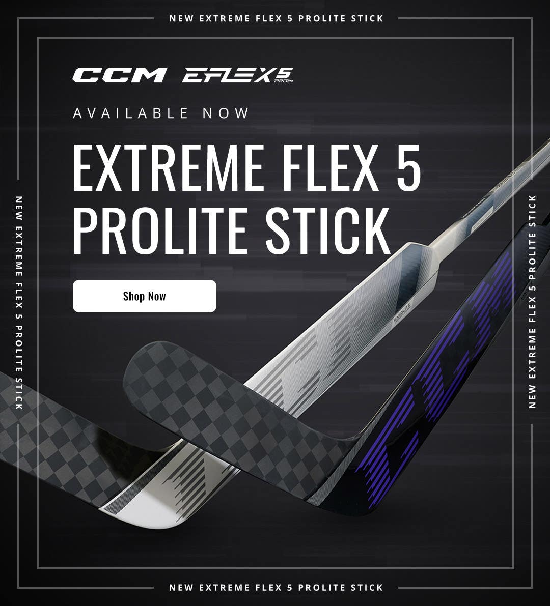 Warrior Ritual V4 Goalie Sticks