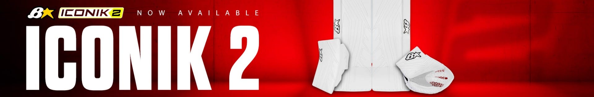 Brian's Iconik 2 goalie equipment